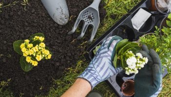 OLYMPUS DIGITAL CAMERA OLYMPUS DIGITAL CAMERA