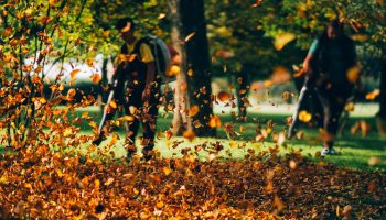 People operating a heavy duty leaf blower. People operating a heavy duty leaf blower. Autumn cleaning leaves.